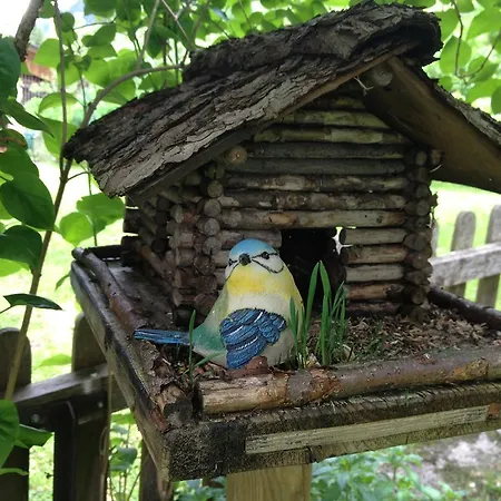 Haus Tasser מאיירהופן