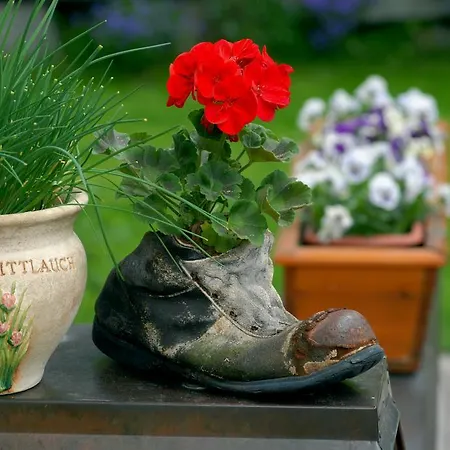 דירה Haus Tasser *