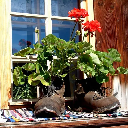 Apartament Haus Tasser