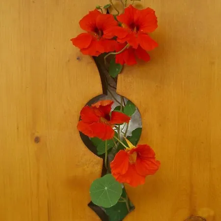 דירה Haus Tasser מאיירהופן