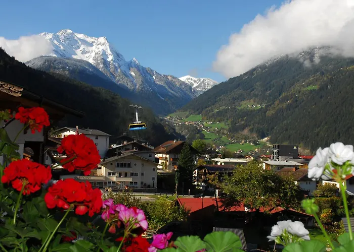 Апартаменты Haus Tasser