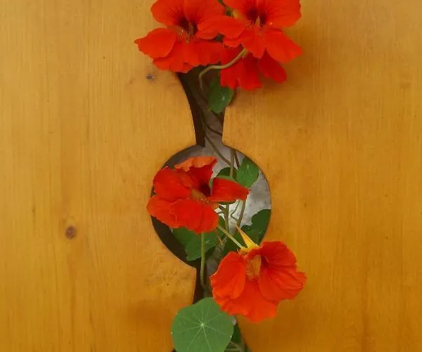 Lejlighed Haus Tasser Mayrhofen