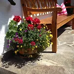 Haus Tasser