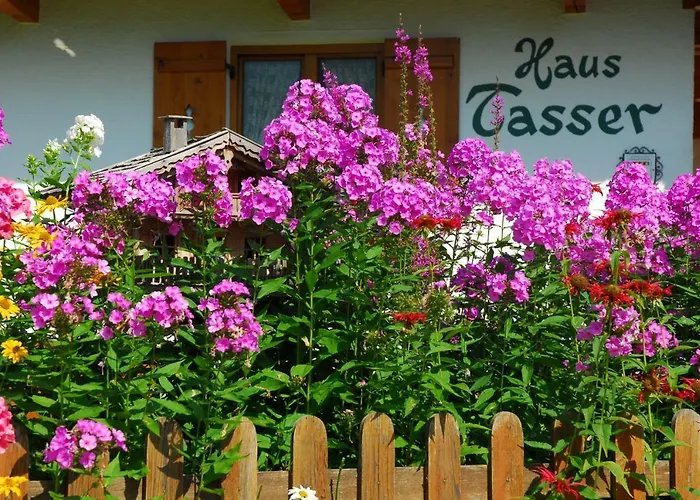 Haus Tasser Daire