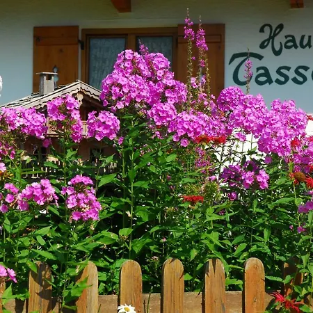 Haus Tasser 아파트